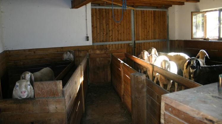 Michelas - Hof Umhausen Bagian luar foto
